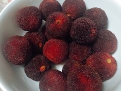 -喜茶(上海兴业太古汇店)