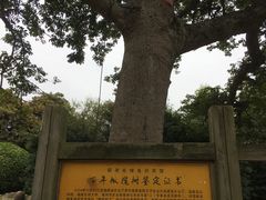 -福建鲤鱼洲酒店