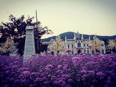 -玫瑰海岸文化旅游度假区