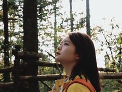-武陵山森林公园