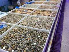 -桃源市场(解放路店)