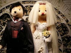 -济州岛泰迪熊博物馆