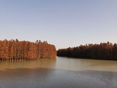 -上海海湾国家森林公园