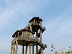 -野鸭湖国家湿地公园