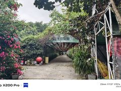 -天下先生态园农庄CS团建露营地(海鸥岛店)