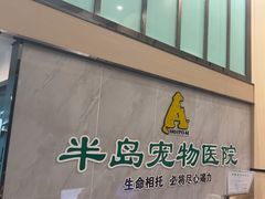 -半岛宠物医院24小时(科华中路店)