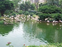 -九龙公园