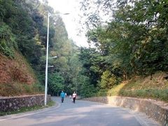 -火炉山森林公园
