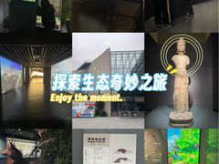 -四川大学博物馆