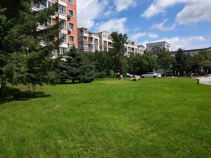 五彩园-"好朋友家之前住在这边我们上学一起回家 ."-大众点评移动版