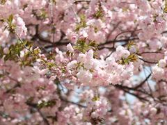 -金泽21世纪美术馆