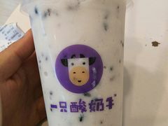 -一只酸奶牛(八一路店)