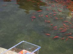 -鸿通城购物中心