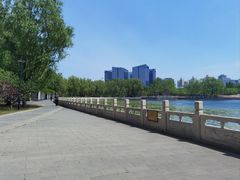 -莲花池公园