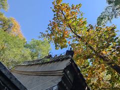 -潭柘寺景区