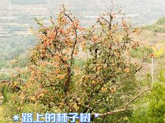 -秘境石崮寨