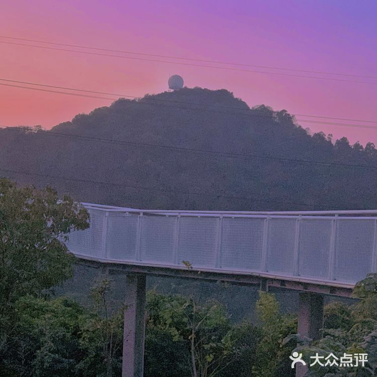 深圳网红桥～白桥