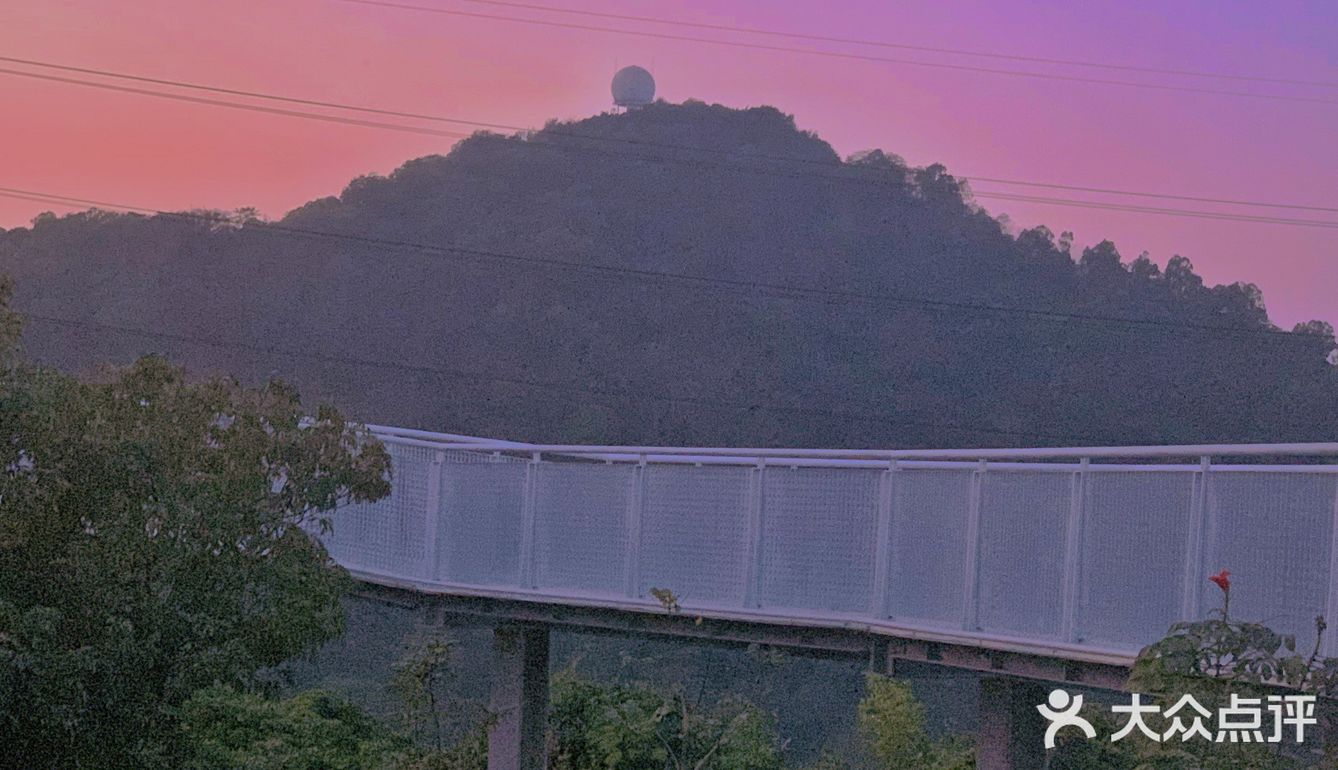 深圳网红桥～白桥