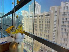 -小大董·烤鸭(观景餐厅·南京西路店)