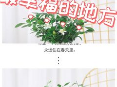 -九木杂物社(东方新天地店)