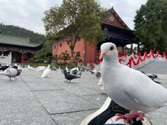 -六祖寺