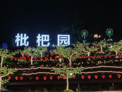 -枇杷园食为鲜火锅(南山店)