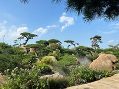 -罗红摄影艺术馆