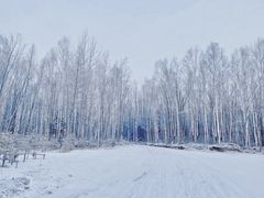 -长白山万达锦华套房酒店