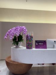 -星和深湾荟医疗美容