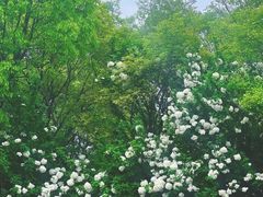-杭州城北体育公园