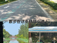 -东台黄海森林公园