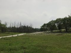 -三圣花乡旅游区