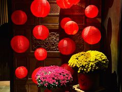 -Cau Go Vietnamese Cuisine
