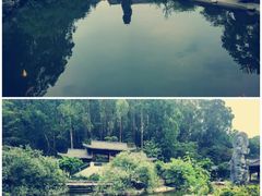 -广州神农草堂中医药博物馆