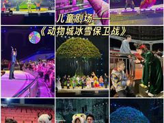 -灵玲国际马戏城