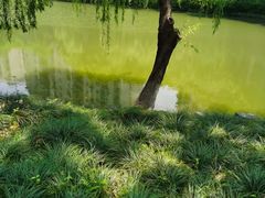 -杭州半山国家森林公园