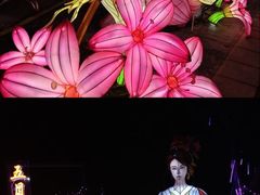-武汉园博园(武汉自然博物馆)