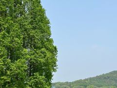 -上海月湖雕塑公园