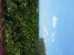 android_upload_pic-三亚海棠湾喜来登度假酒店