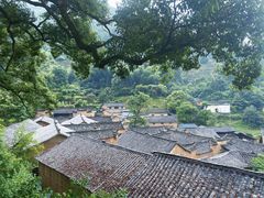 -杨家堂村