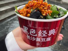 -黑色经典臭豆腐·湖南特产(坡子街店)