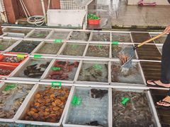 -梅姐海鲜餐厅(水头海鲜街店)