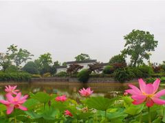-嬉乐湾休闲旅游区