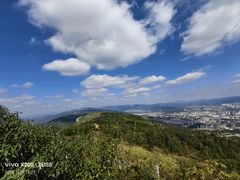 -长虫山生态公园风景林