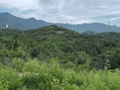-白水寺森林公园
