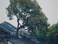 -乌镇景区