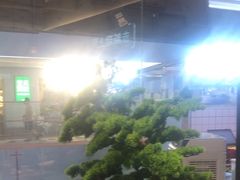 -老板恋上鱼(印象城店)