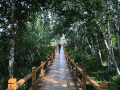 -塞罕坝国家级自然保护区