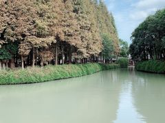 -乌镇西栅景区