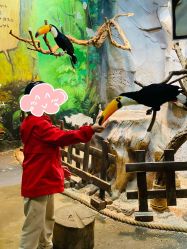 点击看大图 -Zoolung Zoolung动物主题公园(海信广场店)